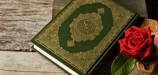 فسطاط القرآن